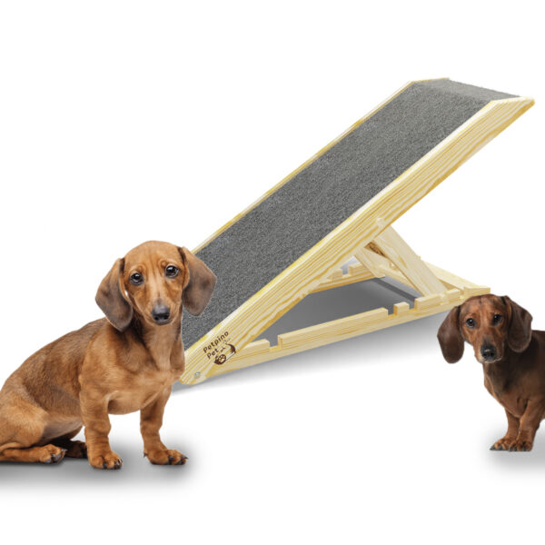 Rampa para perro - Mediana